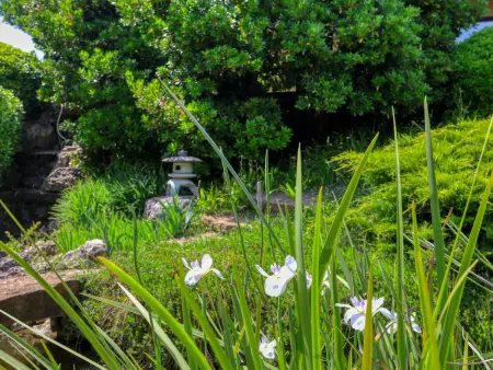 Kisokawa, Villa 8 personnes à La Cadière d'Azur - Photo 46