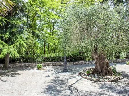 Olivo secolare, Villa 10 personnes à Todi - Photo 18