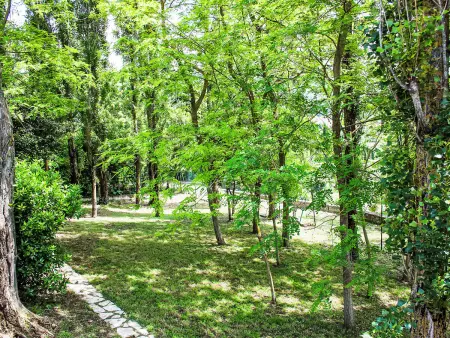 Olivo secolare, Villa 10 personnes à Todi - Photo 19