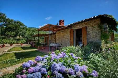 Glici, Ferme à Loro Ciuffenna avec piscine et jardin - Photo 10