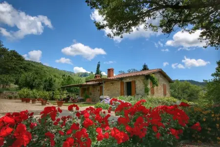Glici, Ferme à Loro Ciuffenna avec piscine et jardin - Photo 13