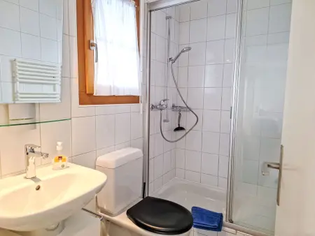 Chalet am Reeti, Appartement 2 personnes à Grindelwald - Photo 15