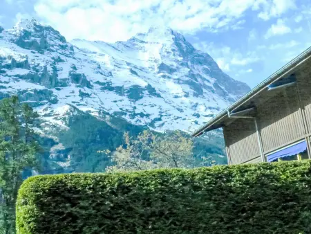 Chalet am Reeti, Appartement 2 personnes à Grindelwald - Photo 18