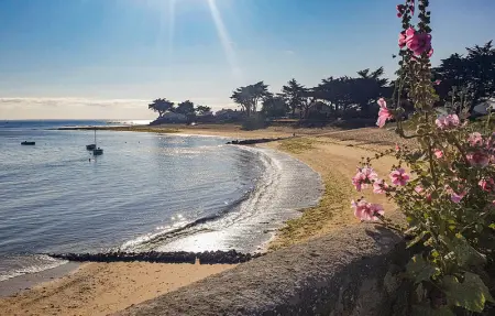 Location Maison 2 personnes à Barbatre - Photo 10