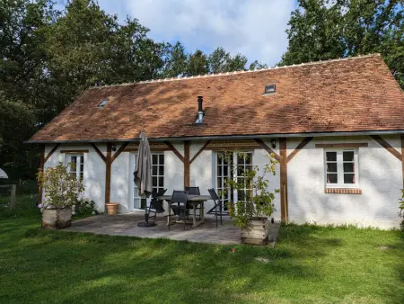 Gite à Villemurlin, Gîte cosy en Sologne avec terrasse privative - L1044192