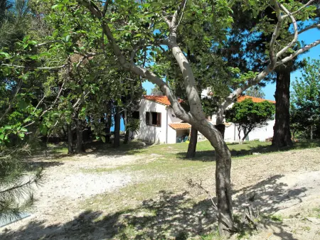 Ciuffini, Villa 8 personnes à Patresi - Photo 33