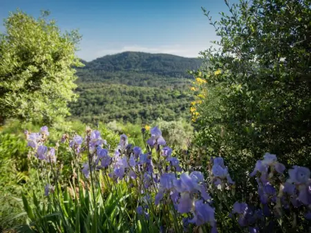 Le Rayol, Maison 8 personnes à Bagnols en Forêt - Photo 33