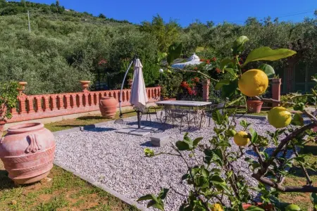 Rosa Tea, Ferme en Toscane avec piscine et sauna - Photo 20