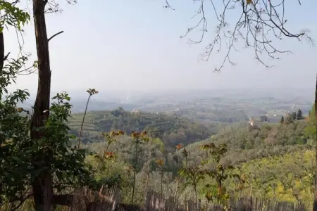Leonardo, Escapade à flanc de colline à Vinci - Photo 32