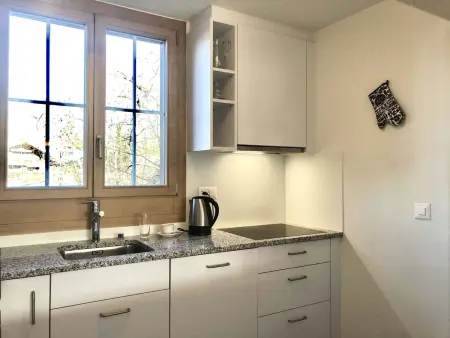 Oberland Nr. 29, Appartement 6 personnes à Gstaad - Photo 5