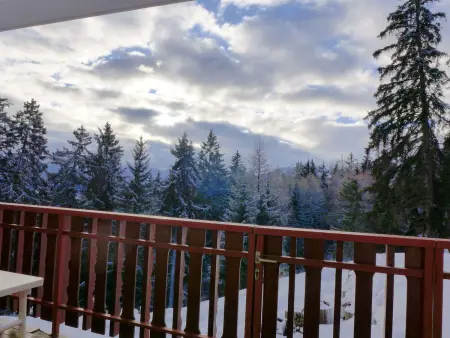Les Faverges 1, Appartement 3 personnes à Crans Montana - Photo 20