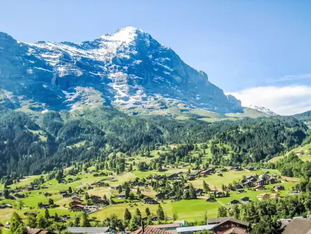 Chalet Cortina, Appartement 4 personnes à Grindelwald - Photo 19