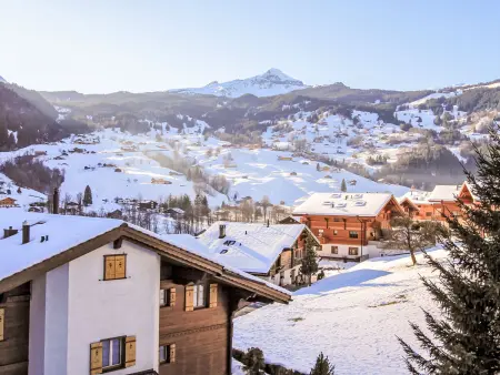 Chalet Cortina, Appartement 4 personnes à Grindelwald - Photo 27
