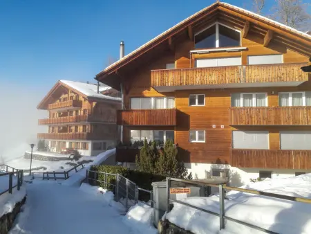 Goldenhorn Apt.F, Appartement 4 personnes à Wengen - Photo 16