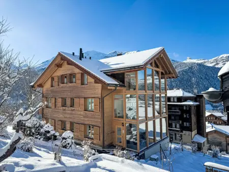 Fortuna Apt.M, Appartement 5 personnes à Wengen - Photo 28
