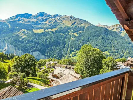 Eigersonne, Appartement 4 personnes à Wengen - Photo 23