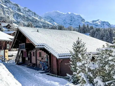 Eigersonne, Appartement 4 personnes à Wengen - Photo 26