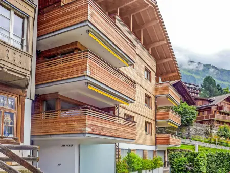Am Acher II Apt. F, Appartement 4 personnes à Wengen - Photo 25