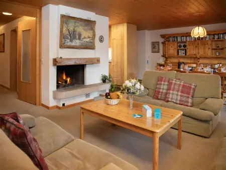 Chäs Gruebi Apt.S, Appartement 10 personnes à Wengen - Photo 9
