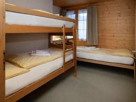 Chäs Gruebi Apt.S, Appartement 10 personnes à Wengen - Photo 17