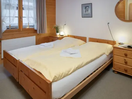 Chäs Gruebi Apt.S, Appartement 10 personnes à Wengen - Photo 18
