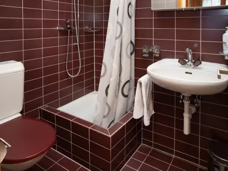 Chäs Gruebi Apt.S, Appartement 10 personnes à Wengen - Photo 20