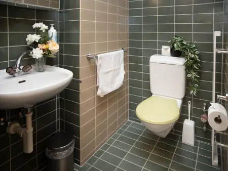 Chäs Gruebi Apt.S, Appartement 10 personnes à Wengen - Photo 23