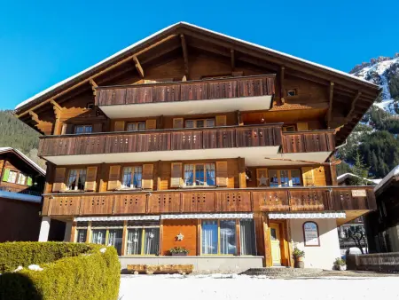 Chäs Gruebi Apt.S, Appartement 10 personnes à Wengen - Photo 28