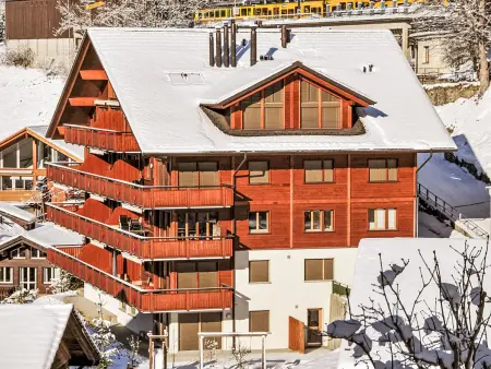 Bella Vista Apt. No. 10, Appartement 6 personnes à Wengen - Photo 29