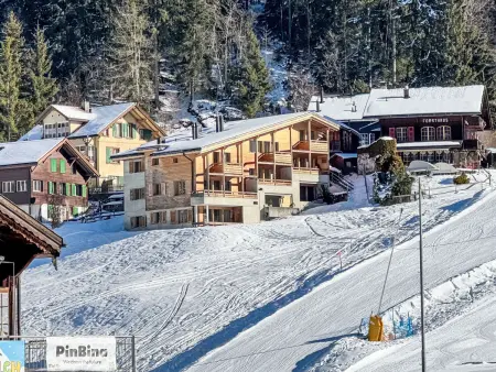 Bab Port Apt. 03, Appartement 8 personnes à Wengen - Photo 22