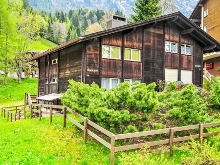 Bärnermutz, Appartement 7 personnes à Wengen - Photo 31