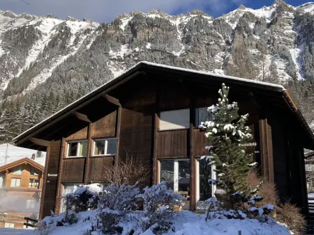 Bärnermutz, Appartement 7 personnes à Wengen - Photo 34