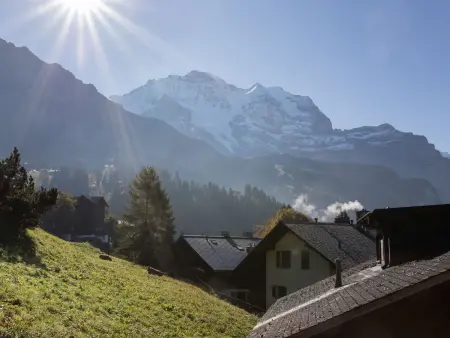 Drei Tannen, Appartement 4 personnes à Wengen - Photo 8