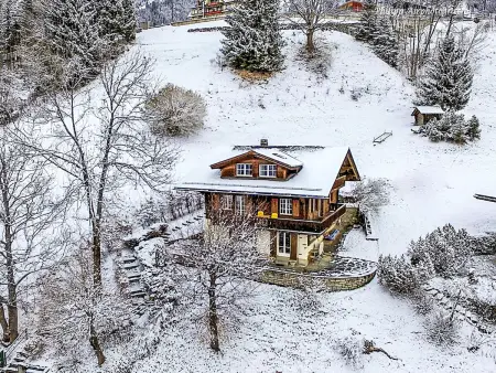 Drei Tannen, Appartement 4 personnes à Wengen - Photo 26