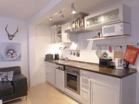 Bristol Apt.S, Appartement 4 personnes à Wengen - Photo 2