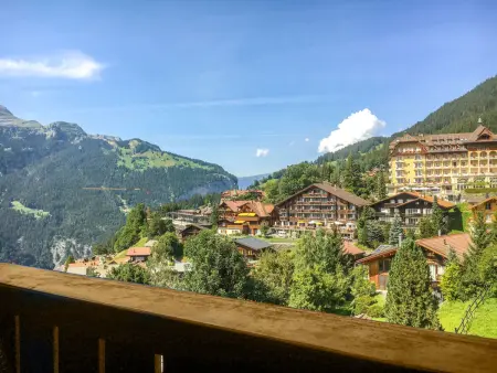 Bristol Apt.S, Appartement 4 personnes à Wengen - Photo 18