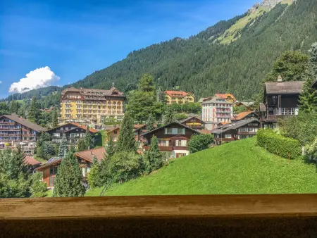 Bristol Apt.S, Appartement 4 personnes à Wengen - Photo 19