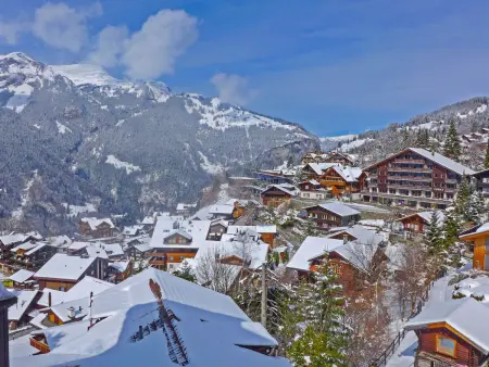 Bristol Apt.S, Appartement 4 personnes à Wengen - Photo 30