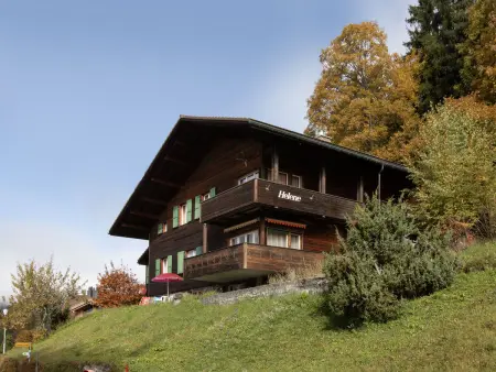 Helene Studio Christel, Chalet 2 personnes à Wengen - Photo 17