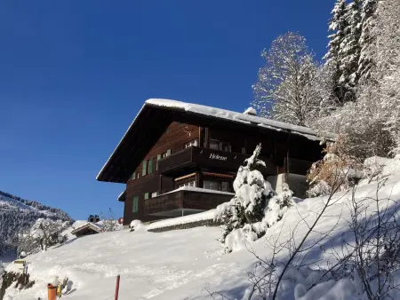 Helene Studio Christel, Chalet 2 personnes à Wengen - Photo 20