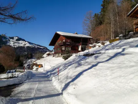 Helene Studio Christel, Chalet 2 personnes à Wengen - Photo 21
