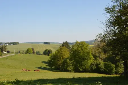 Bourcy, Maison de vacances א Bastogne avec jardin - Photo 30