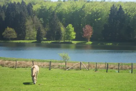 Bourcy, Maison de vacances א Bastogne avec jardin - Photo 31