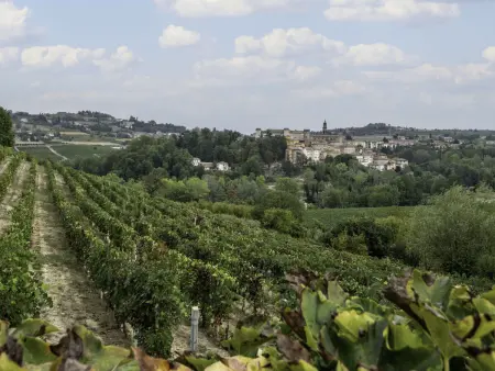 Villa Carlotta, Maison 8 personnes à Costigliole d'Asti - Photo 41