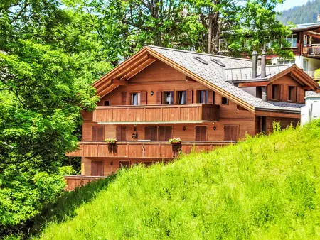 Roossihuus Apt.S, Appartement 6 personnes à Wengen - Photo 31