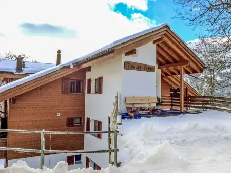 Roossihuus Apt.S, Appartement 6 personnes à Wengen - Photo 36