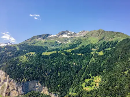 Schweizerheim Apt.5, Appartement 5 personnes à Wengen - Photo 22