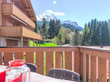 Racer's Retreat Apt.12, Appartement 8 personnes à Wengen - Photo 34