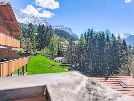 Racer's Retreat Apt.12, Appartement 8 personnes à Wengen - Photo 37