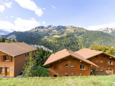 Racer's Retreat Apt.12, Appartement 8 personnes à Wengen - Photo 40